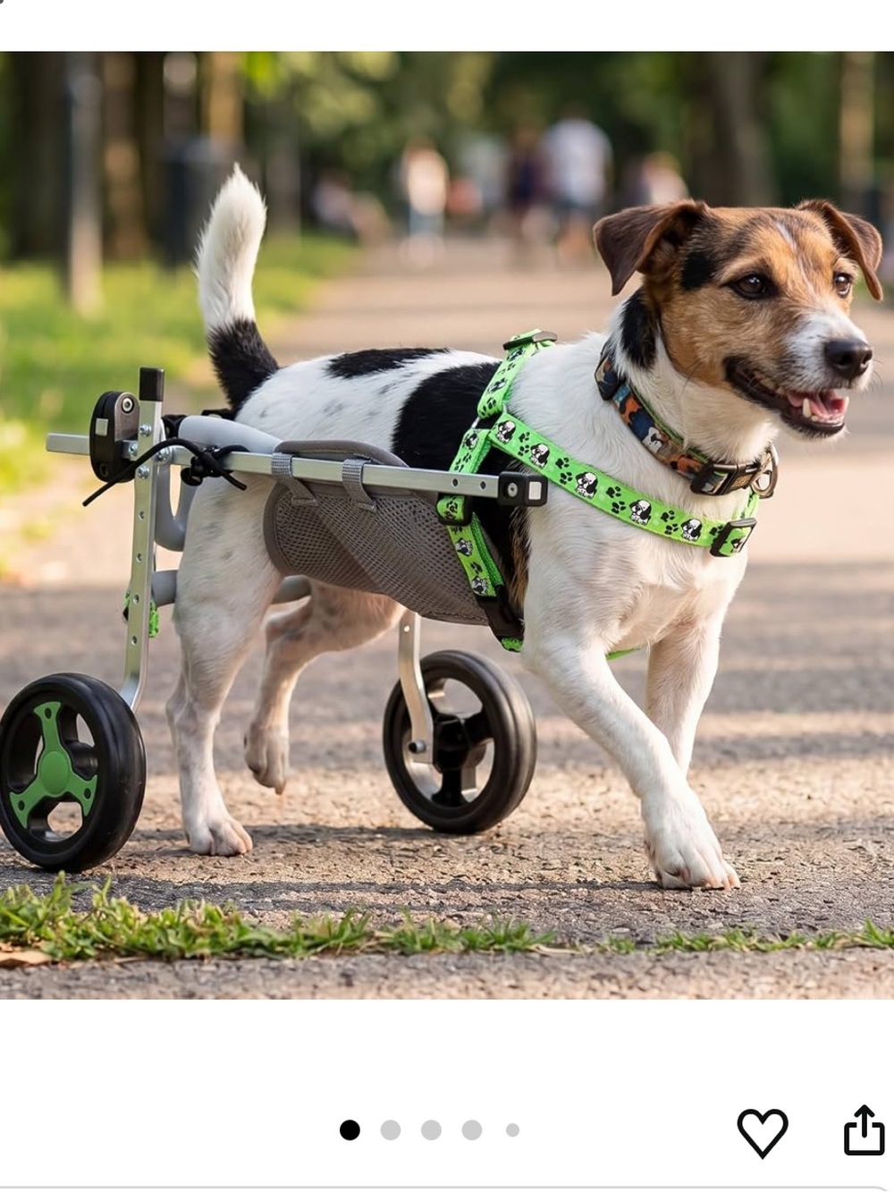 NEW Dog Wheelchair for Back Legs , Adjustable - for Small Dogs up to 13 lbs